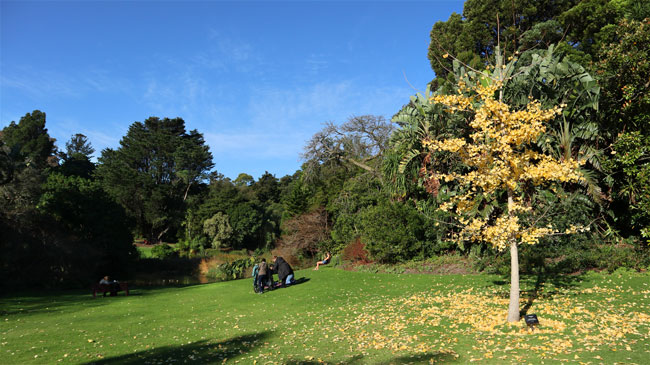 jardim botanico de melbourne